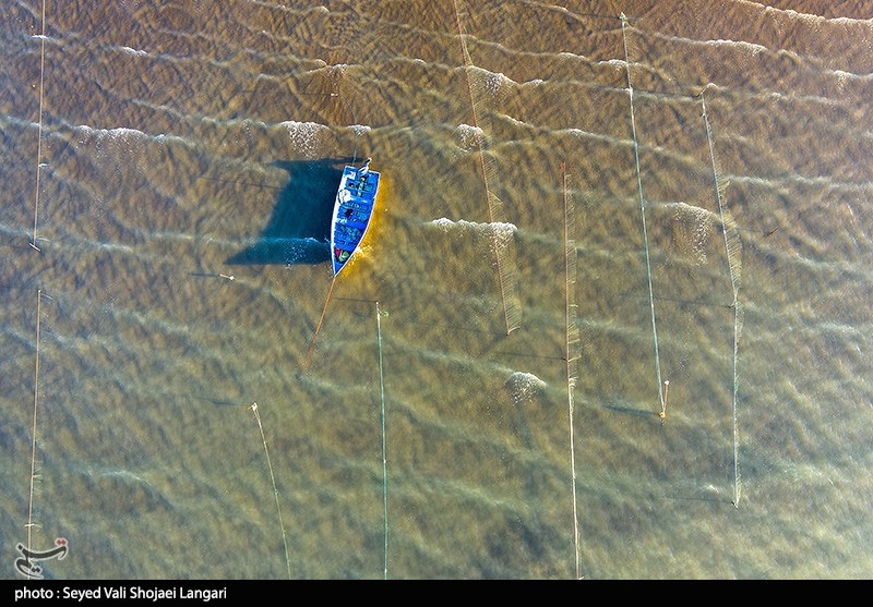 صید غیر مجاز ماهی استخوانی - مازندران