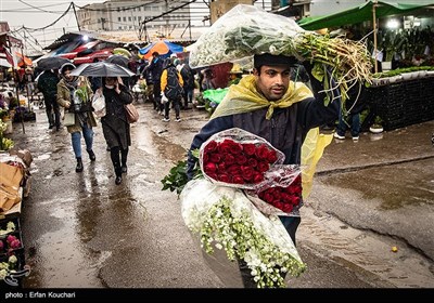 بازار گل و گیاه محلاتی در آستانه سال نو