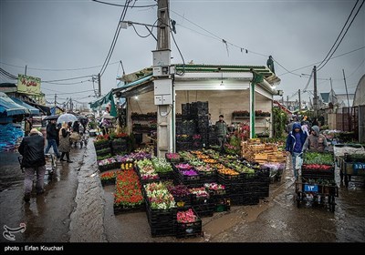 بازار گل و گیاه محلاتی در آستانه سال نو