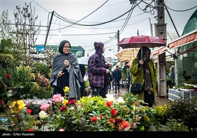 بازار گل و گیاه محلاتی در آستانه سال نو