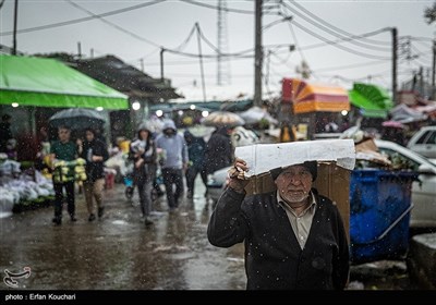 بازار گل و گیاه محلاتی در آستانه سال نو