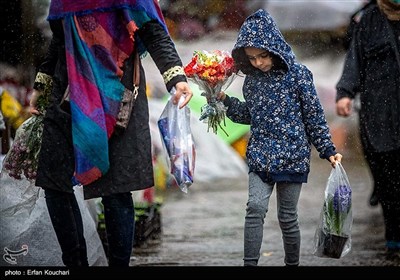 بازار گل و گیاه محلاتی در آستانه سال نو