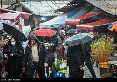 بازار گل و گیاه محلاتی در آستانه سال نو