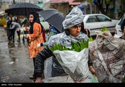 بازار گل و گیاه محلاتی در آستانه سال نو