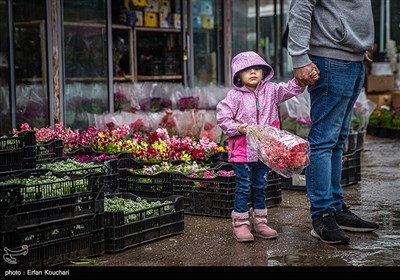 بازار گل و گیاه محلاتی در آستانه سال نو