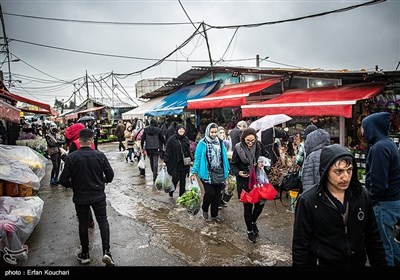 بازار گل و گیاه محلاتی در آستانه سال نو