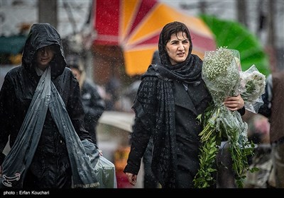 بازار گل و گیاه محلاتی در آستانه سال نو