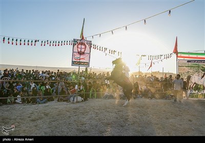 همایش بزرگ کشوری شو سواره اسب اصیل ایرانی - لامرد