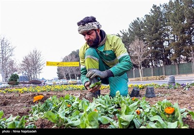 آماده سازی مشهد در آستانه نوروز 1402