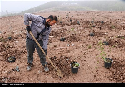 بازگشت سراوان گیلان به طبیعت