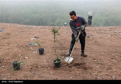 بازگشت سراوان گیلان به طبیعت- عکس استانها تسنیم
