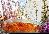 واپسین ساعات سال 1401