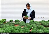 واپسین ساعات سال 1401