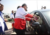 افزایش 28 درصدی مسافران ورودی به استان بوشهر +تصویر