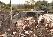 انفجار مین در مرز با لبنان چند نظامی صهیونیست را راهی بیمارستان کرد