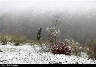 برف بهاری در اشکور گیلان