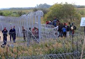 پلیس بلغارستان 25 پناهجوی افغانستانی را بازداشت کرد