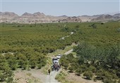 تابستان در خراسان جنوبی؛ سفر به دل کوهستان، فرهنگ کهن و آرامش تابستانی