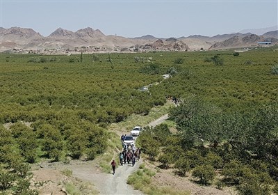 تابستاني،محلي،تابستان،گردشگران،سنتي،فرهنگ،گرماي،خراسان،جنوبي ...