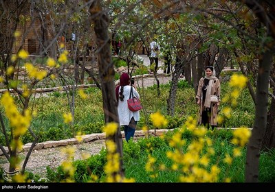 باغ گلها - شیراز