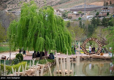 باغ گلها - شیراز