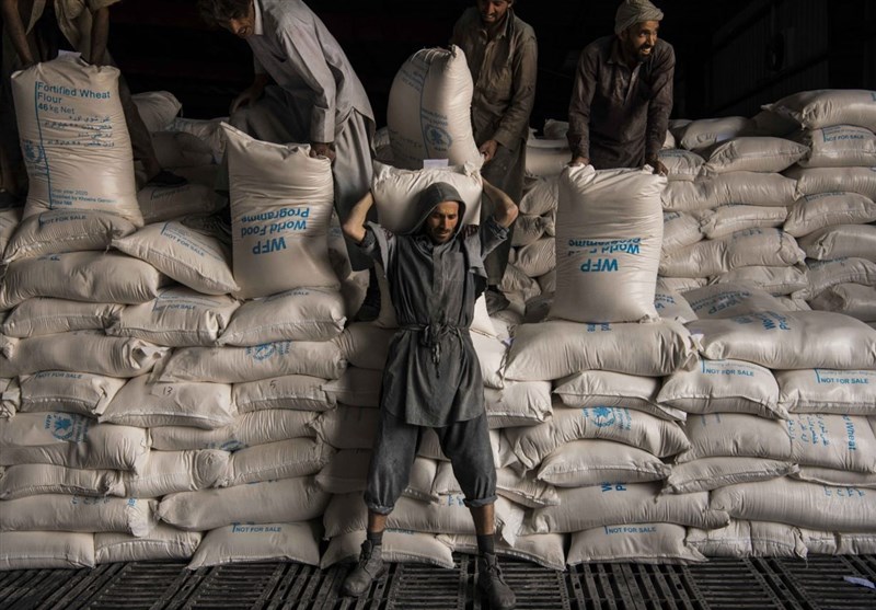 برنامه جهانی غذا: سال گذشته 860 هزار تن آرد در افغانستان توزیع کردیم