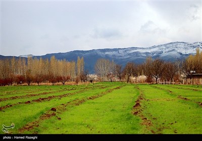 طبیعت بهاری ابهر