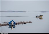 روزهای خوش دریاچه ارومیه + تصاویر