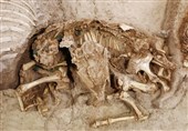 کشف اسکلت کودکان 3000 ساله در سگزآباد توسط محققان دانشگاه تهران