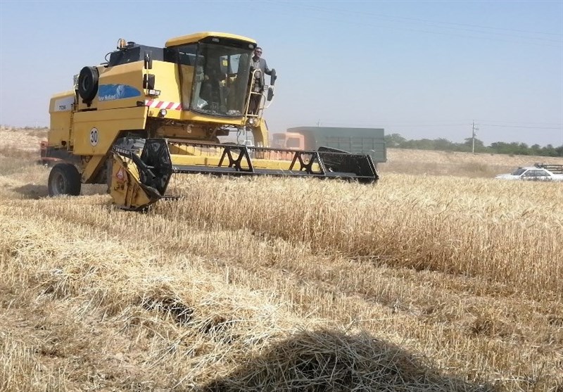 Iran Raises Guaranteed Purchase Price for Wheat by 15%
