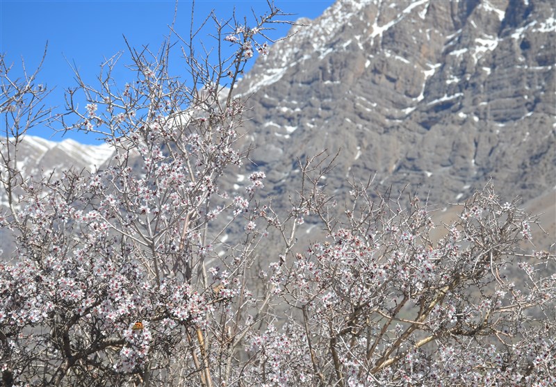 گردشگری , 