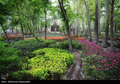  ۵۴ هکتار از پروژه "روددره فرحزاد تهران" تا پایان امسال افتتاح می‌شود 