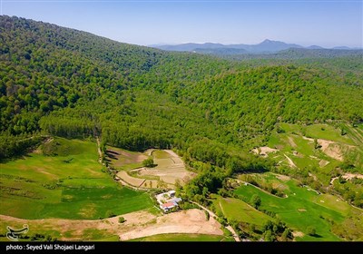 جنگل‌ها به عنوان منابع ملی و سرمایه‌های کره زیستی محسوب می‌شوند که حفظ درختان آنها برای تداوم حیات پهنه سبز امری مهم برشمرده می‌شود، جنگلی که میراث ماندگار زمین برای وُراثی شده که در پَس طمع‌های انسانی، حیات منابع ملی را با چالش مواجه می‌سازند تا از قِبَل نابودی درختان، بودنی اقتصادی برای خود رقم بزنند، رقم زدنی که آینده نگران کننده‌ای برای عرصه‌های طبیعی شکل خواهد داد.