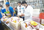 وزارت جهاد کشاورزی: فروش مرغ بالاتر از 63 هزار تومان تخلف است