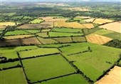 65 درصد اراضی کشاورزی رفع تداخل شد
