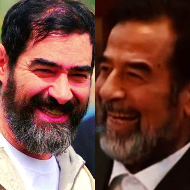 کاخ صدام، شهاب حسینی، پوست شیر، سریال، تلویزیون، سینما، 