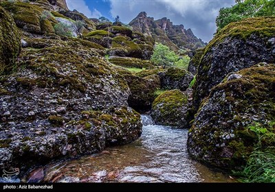 طبیعت بهاری منطقه کوهستانی هفت حوض - خرم آباد