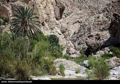 طبیعت روستای سیخوران هرمزگان