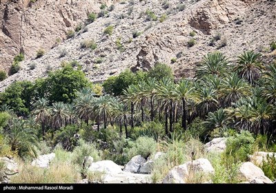 طبیعت روستای سیخوران هرمزگان