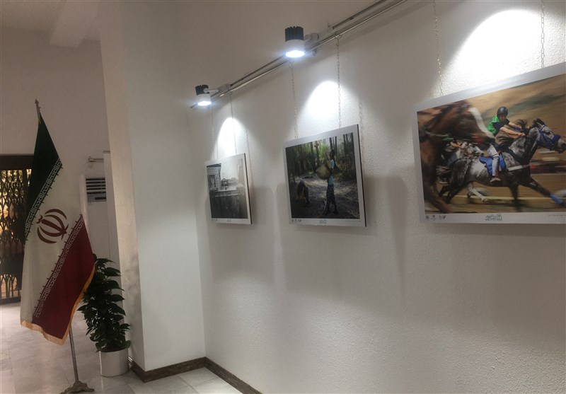 راه‌اندازی نمایشگاه عکس جشنواره منطقه‌ای سینمای جوان خلیج‌ فارس در بوشهر + تصویر
