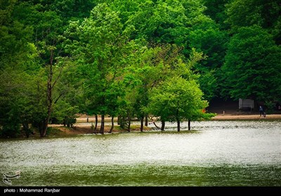 دریاچه سقالکسار - گیلان