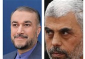 گفت‌وگوی تلفنی امیرعبداللهیان با رئیس دفتر سیاسی حماس در غزه/ تقدیر السنوار از ایران