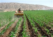 Iran, FAO to Launch Joint Project on Sustainable Production