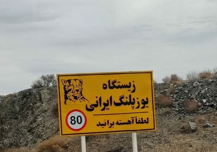 اهمال &quot;وزارت راه&quot; و تسریع انقراض یوزپلنگ ایرانی