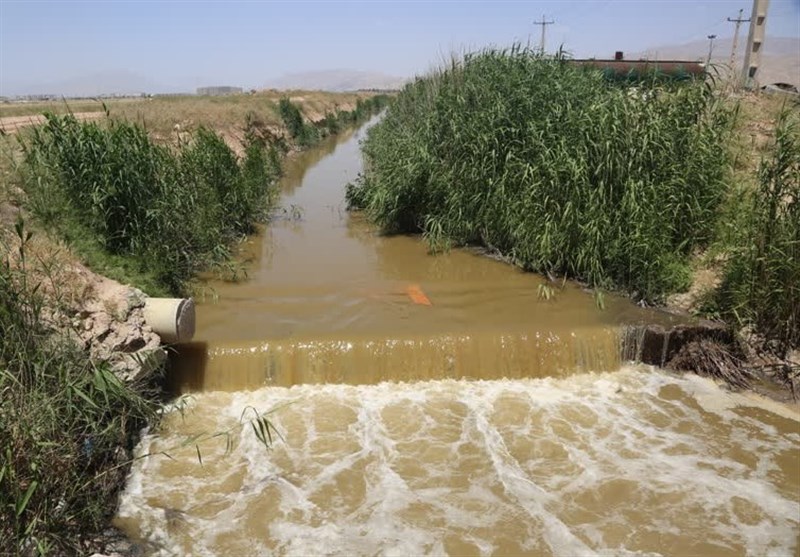 200 هکتار مزرعه زیرکشت با آب‌های نامتعارف در اطراف شیراز امحاء شد