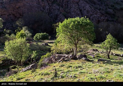 طبیعت بهاری دره خان ارومیه