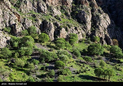 طبیعت بهاری دره خان ارومیه