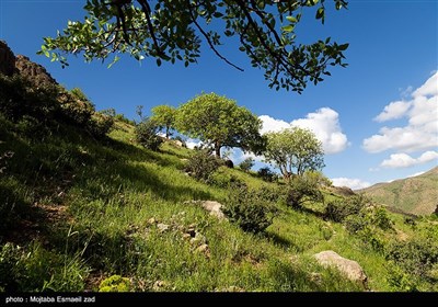 طبیعت بهاری دره خان ارومیه