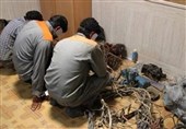 سرقت میلیاردی از کارخانه متروکه سمنان با چاقوکشی