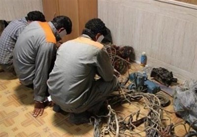 سمنان،پليس،سرقت،شناسايي،سارقان،انتظامي،تسنيم،مالك،متهمان،سرد ...